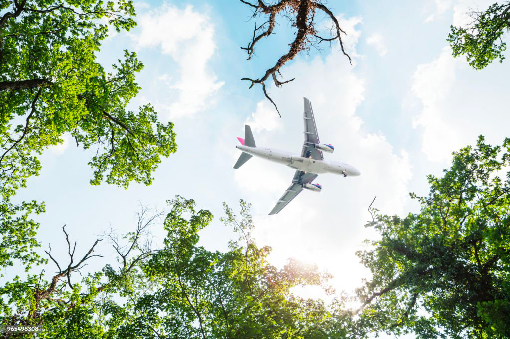 Ecotourism: Our vision of ecological travel
