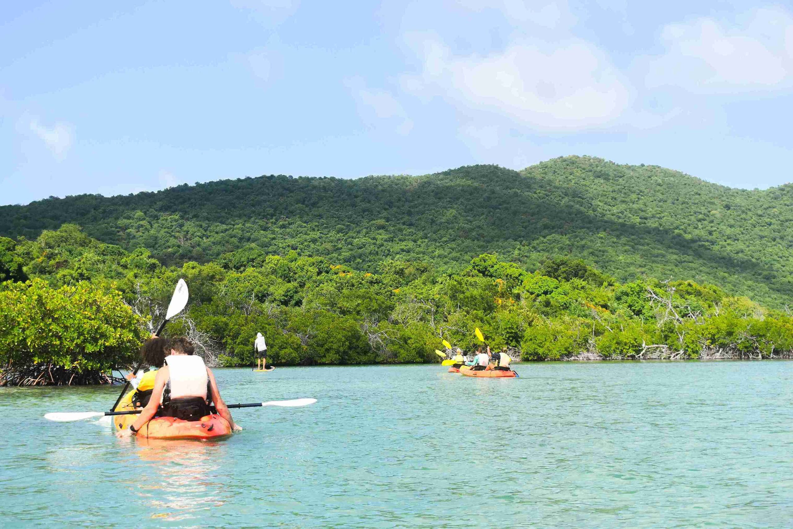 What is Marine Biology? – Sail Caribbean A Beginner’s Guide to Studying Ocean Life